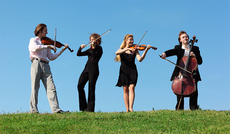 string quartet on a hill
