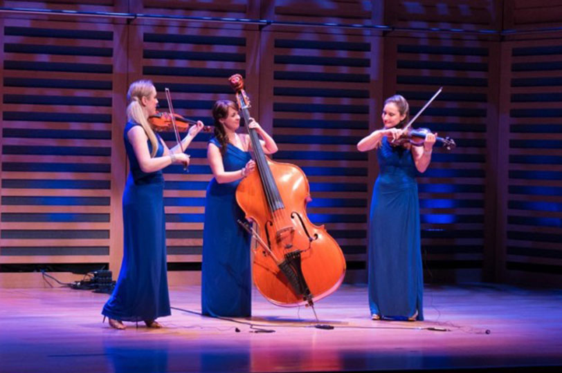 Stylish Female String Quartet, Trio or Quintet